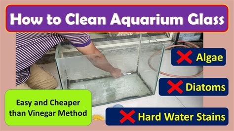 aquarium glass cleaner hard water